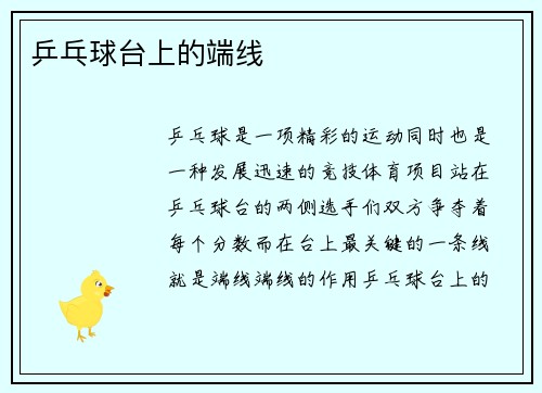 乒乓球台上的端线