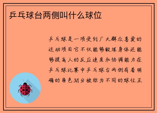 乒乓球台两侧叫什么球位