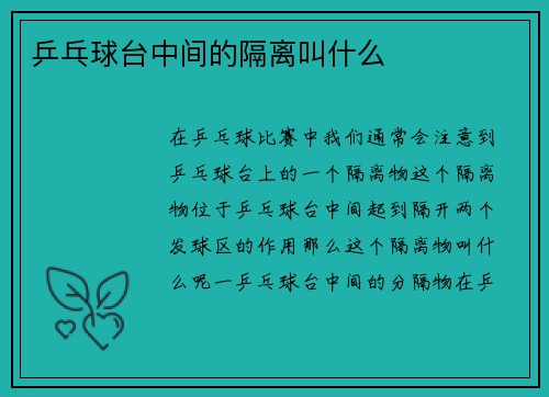 乒乓球台中间的隔离叫什么