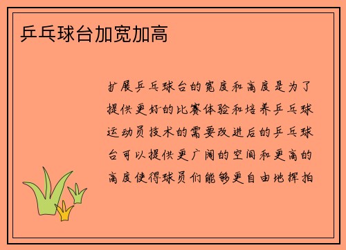 乒乓球台加宽加高