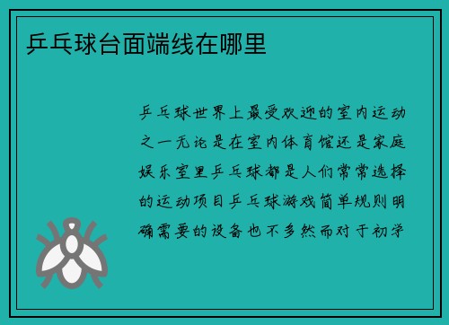 乒乓球台面端线在哪里