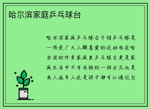 哈尔滨家庭乒乓球台